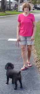 Susan walking Bonnie in Tampa, FL on Christmas Day of 2015. Photo taken by Charles Oropallo.